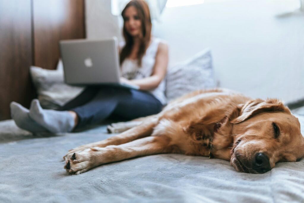 Work From Home Is Not the Question. Discipline Is.